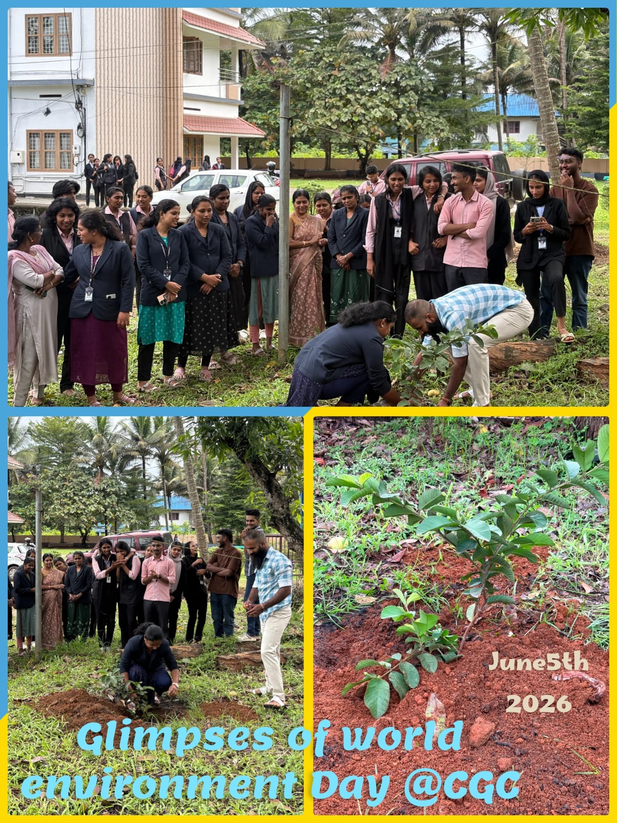 Environment Day